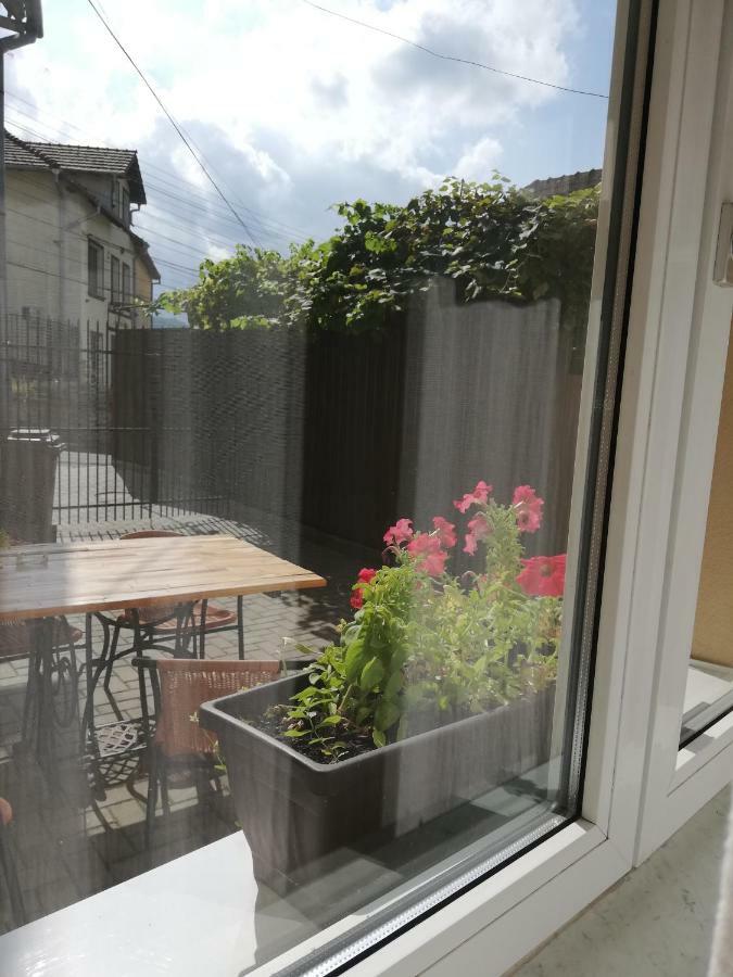 Vintage Apartment - Ultracentral, 2 Dormitoare 锡吉什瓦拉 外观 照片